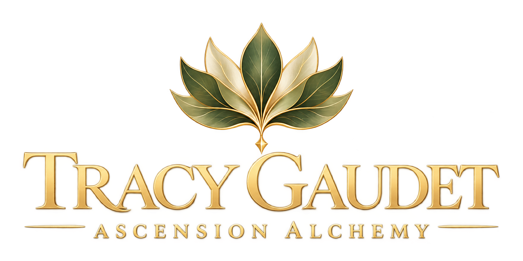 logo 2026 tracygaudet light stack